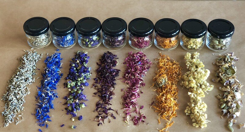Set ‘’Floral Rainbow’’. 8 Vasetti di Fiori Eduli