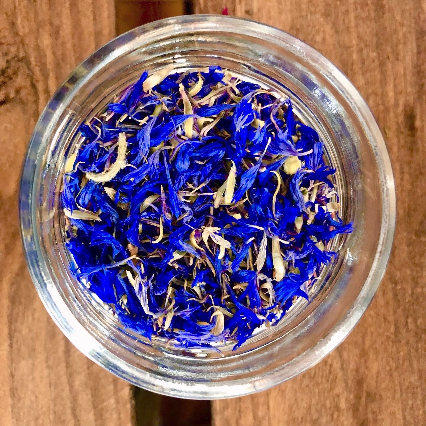 Petali di fiordaliso blu