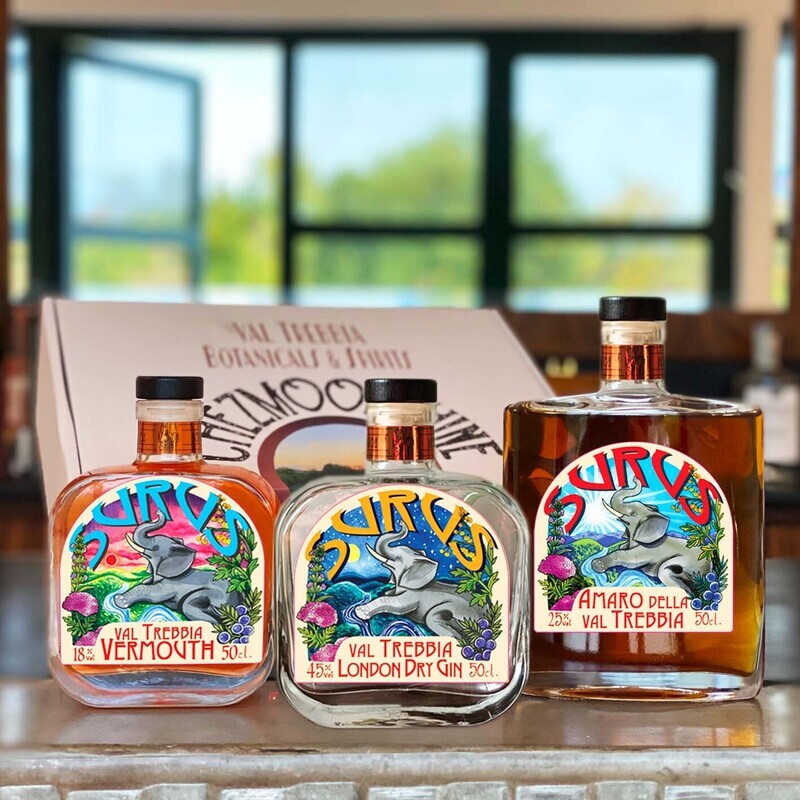 Box Surus Negroni