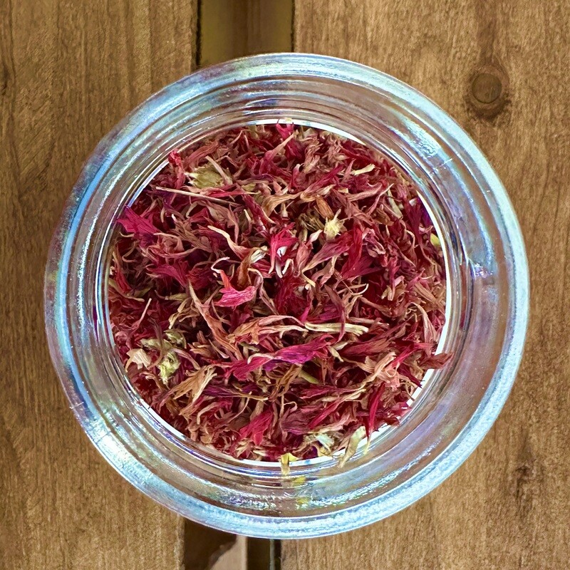 Petali di fiordaliso rosa