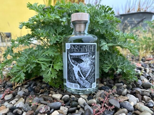 Assenzio La ManteNoir 50 Cl con pianta Assenzio Romano large
