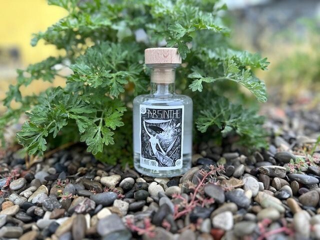 Assenzio La ManteNoir 20 Cl con pianta Assenzio Romano M