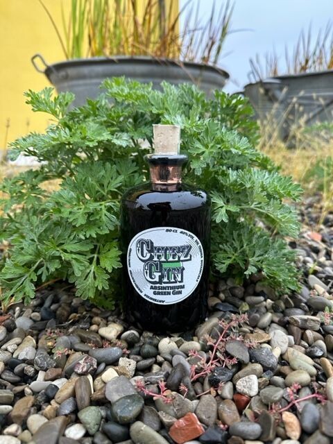 ChezGin con una pianta di Assenzio romano