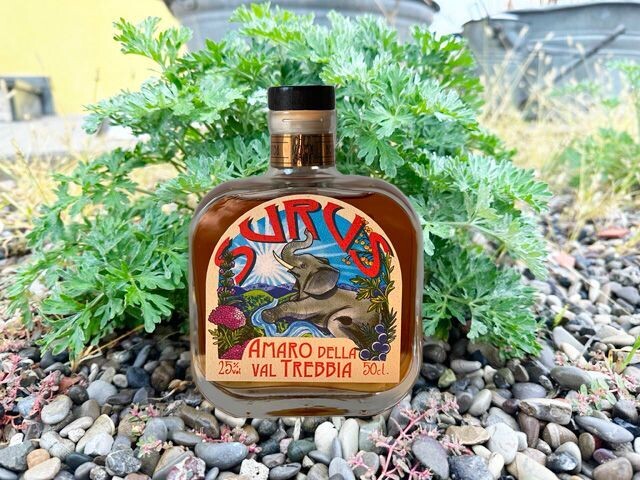Surus Amaro della Val Trebbia 50cl con la sua pianta di Assenzio Romano