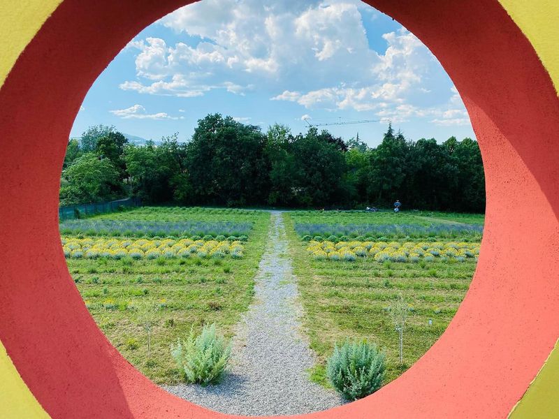 Listino aromatiche modiche quantità