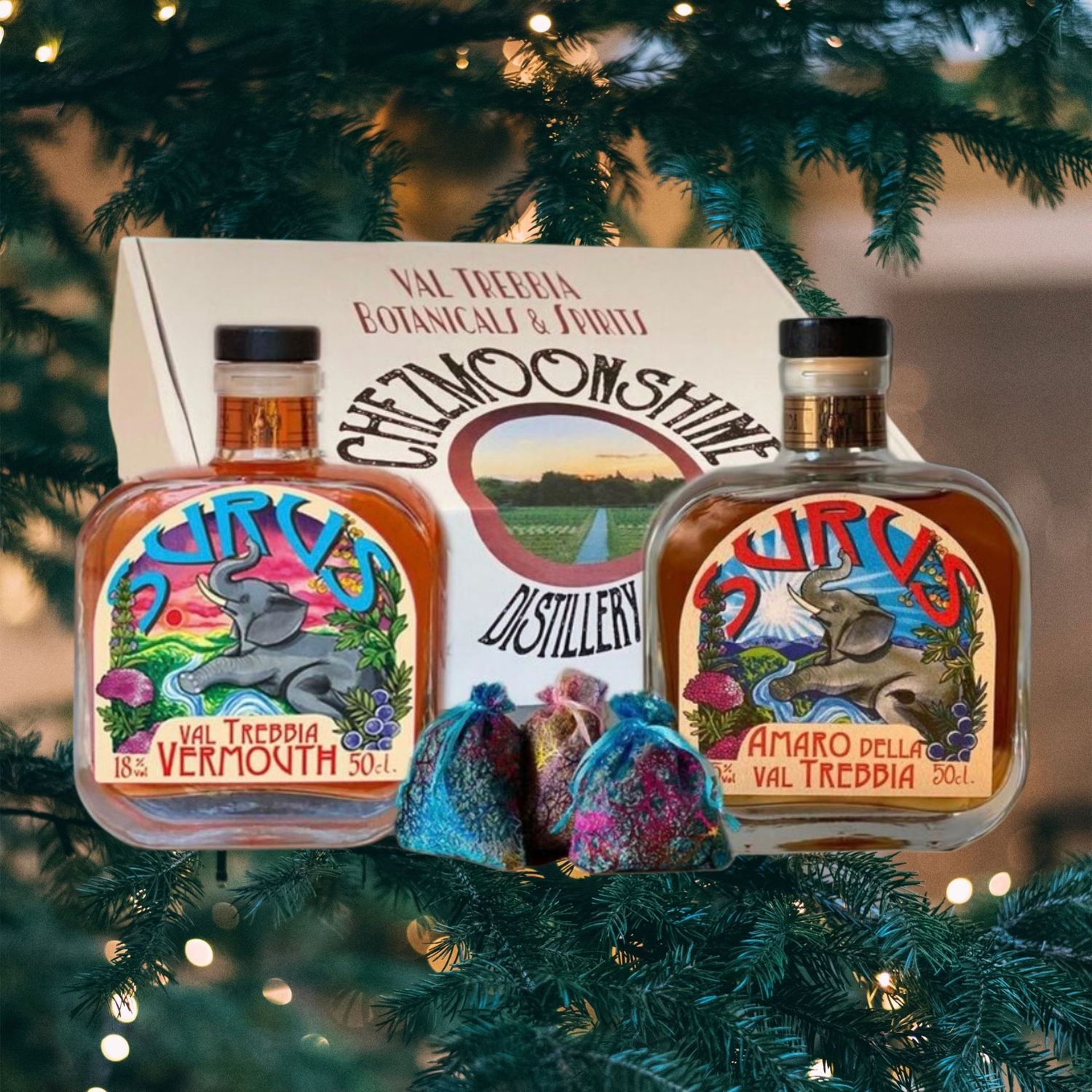 Box Surus Americano Box Surus Americano