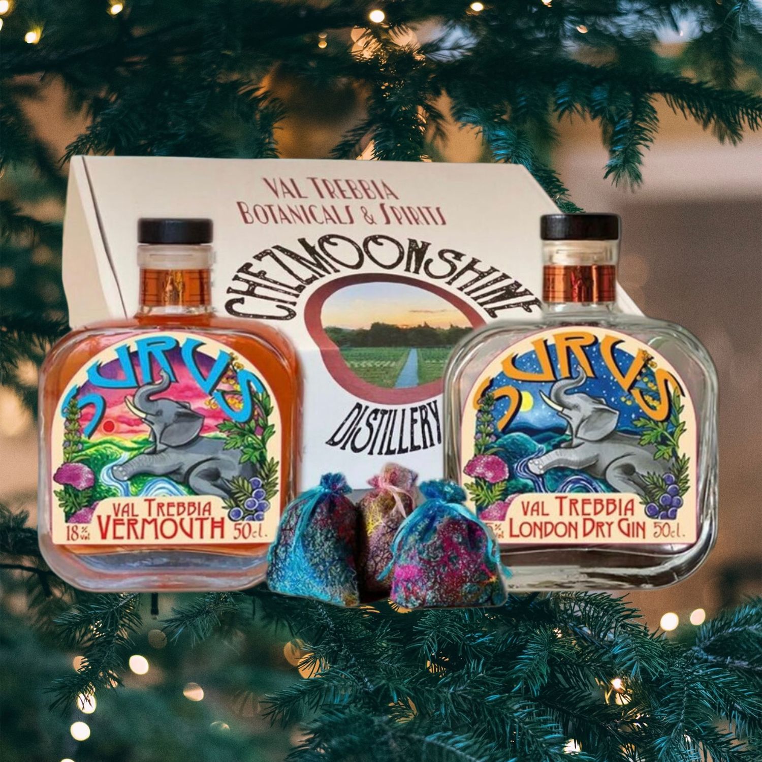 Box Surus Martini Box Surus Martini