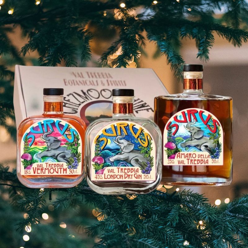 Box Surus Negroni Box Surus Negroni