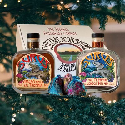 Surus Inghilterra VS Italia Surus Inghilterra VS Italia