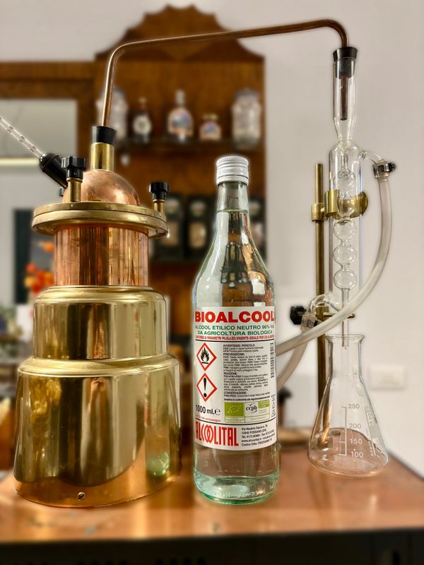 Alcol puro Alcoolital 1L