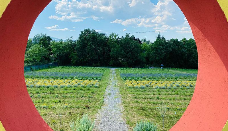 Listino aromatiche grandi quantità