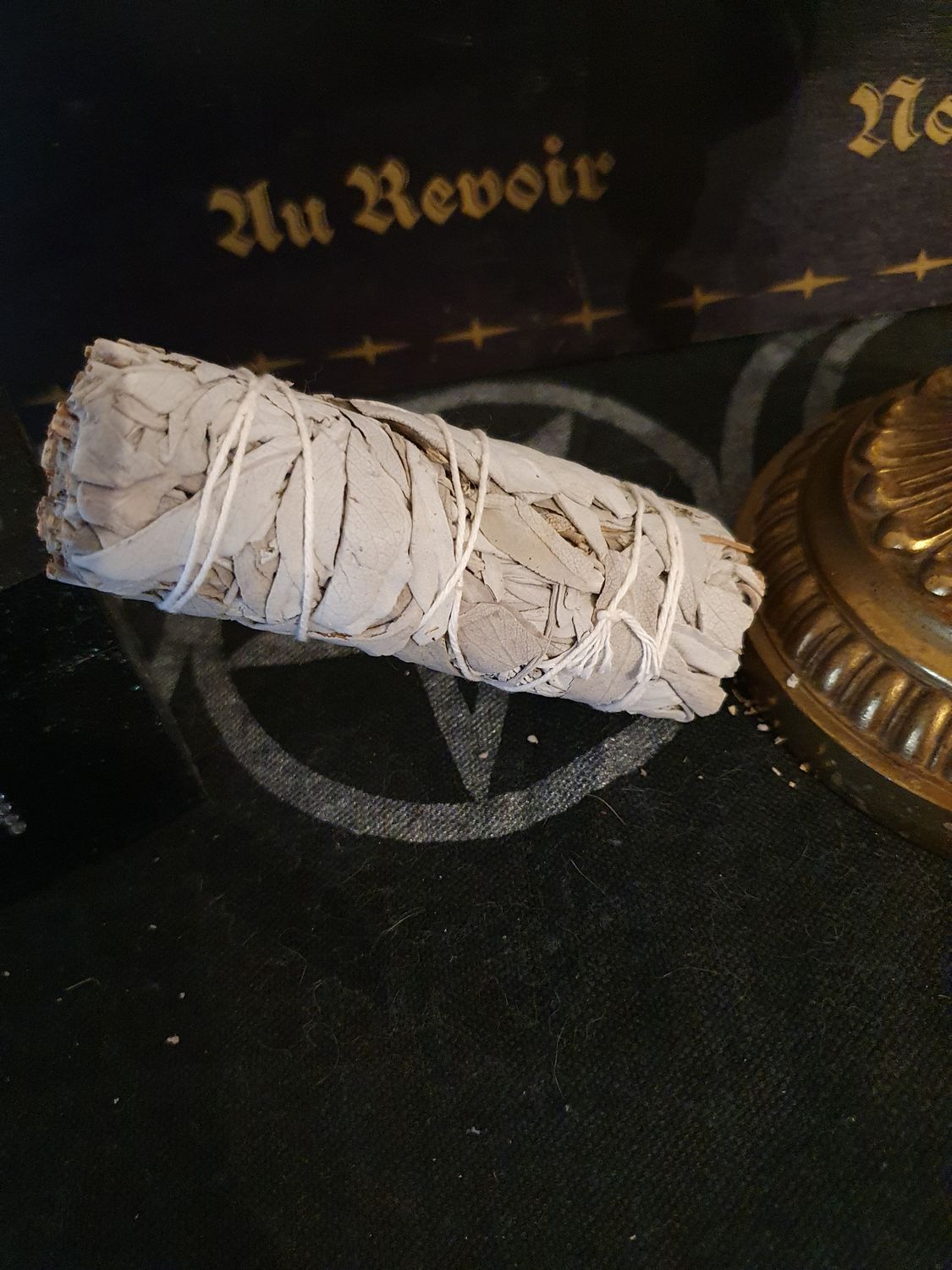 Sauge blanche