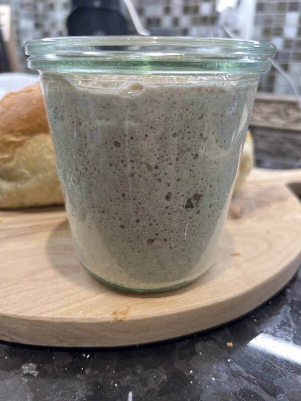 Sourdough Starter