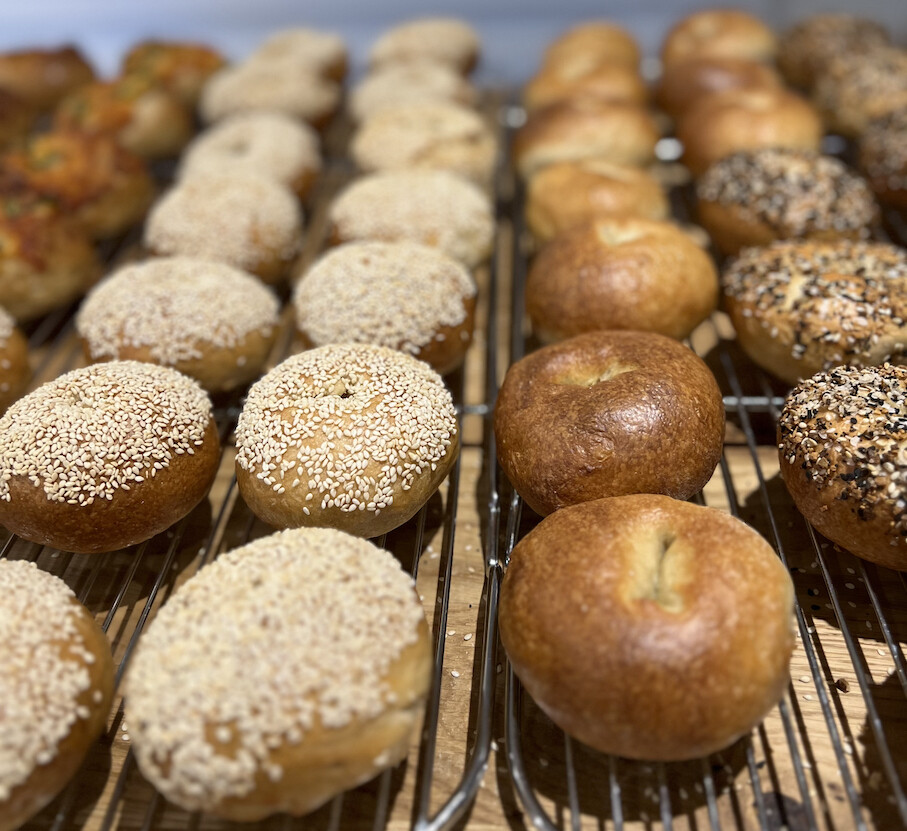 Sourdough Bagels