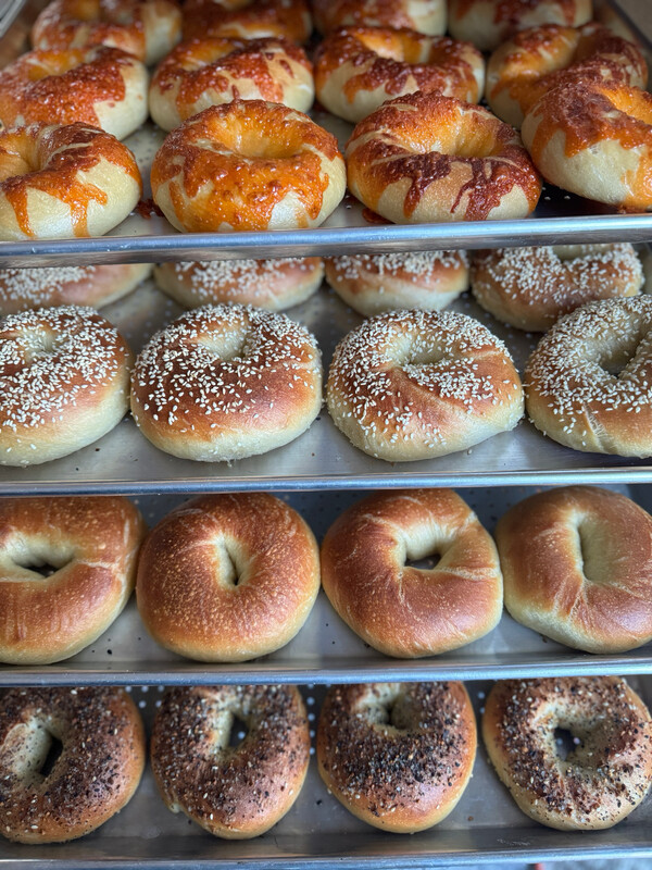 Sourdough Bagels