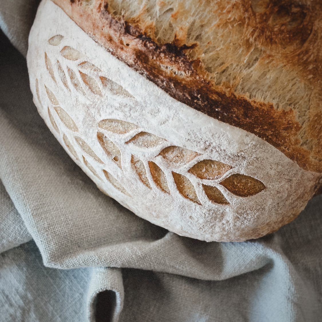 Sourdough Country Loaf