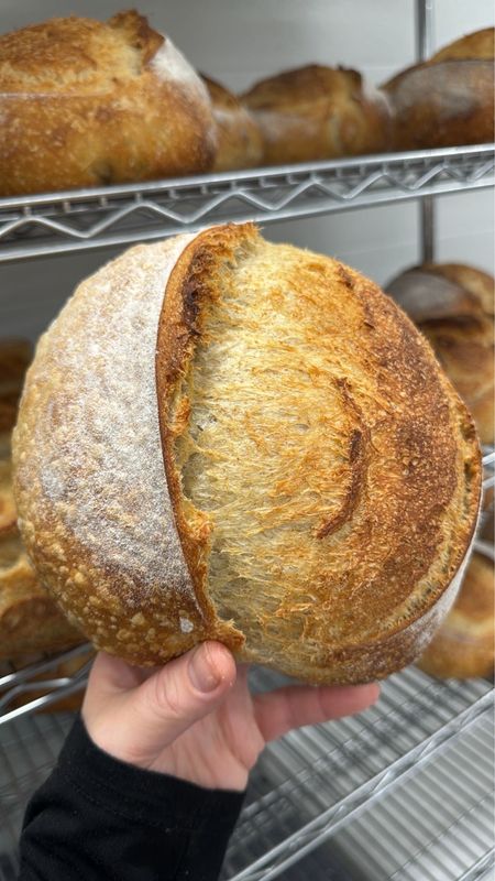 Fresh Frozen Product Fresh Frozen Product