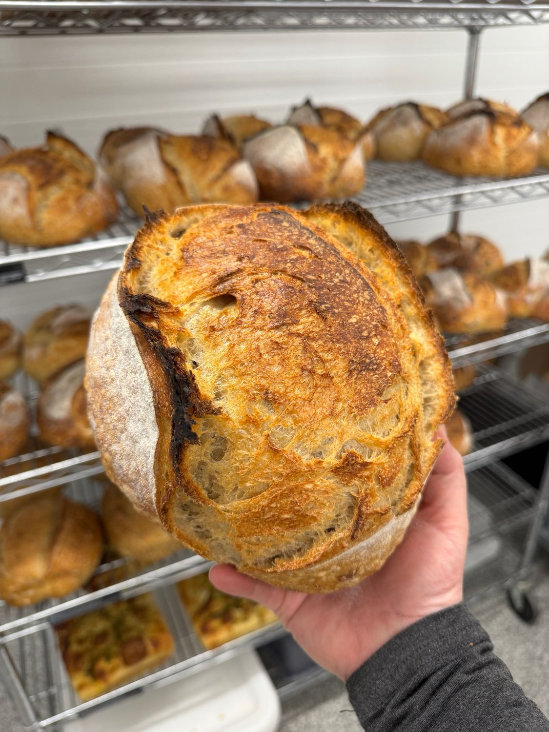 Organic Einkorn Sourdough Loaf