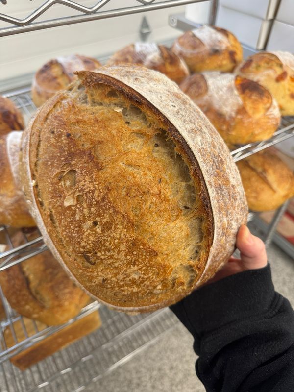 Sourdough Harvest Loaf