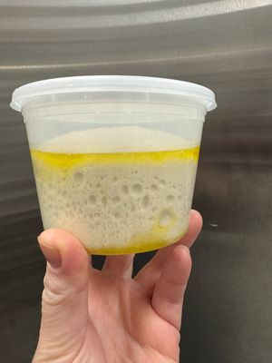 Sourdough Pizza Dough