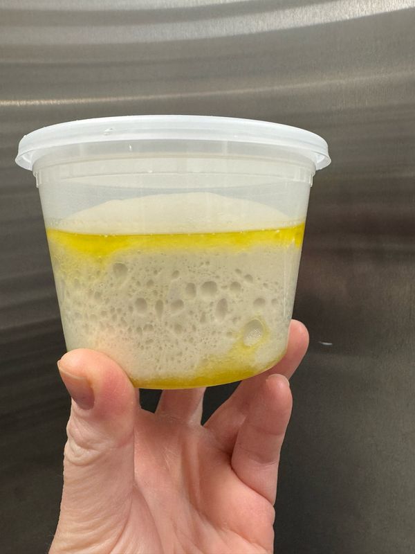 Sourdough Pizza Dough Sourdough Pizza Dough