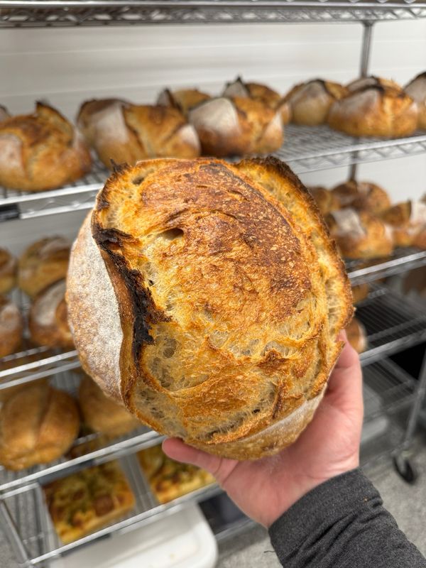 Organic Einkorn Sourdough Loaf