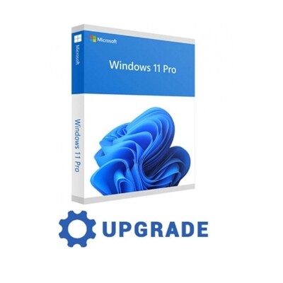 Microsoft Windows 11 Pro  Professional UPGRADE 32/64 BIT ESD a VITA 