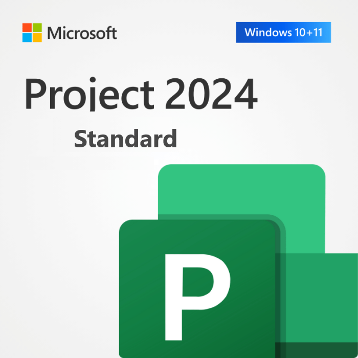 Microsoft Project Standard 2024 a VITA