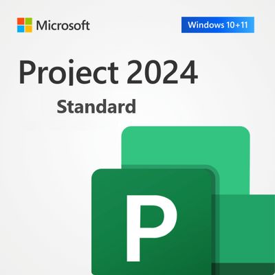 Microsoft Project Standard 2024 a VITA