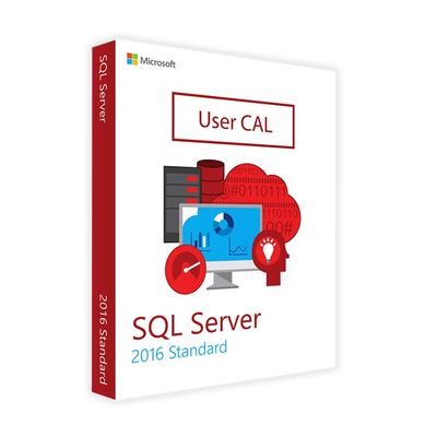 Microsoft SQL Server Standard 2016 10 USER CAL a VITA