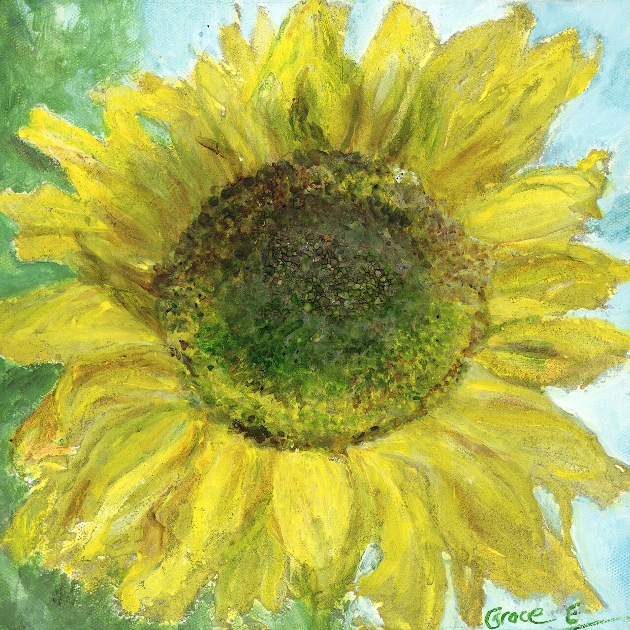 Sunflower (Paper Print)