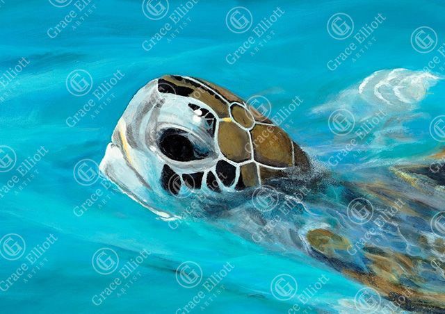 Head Above Water (Paper Print)