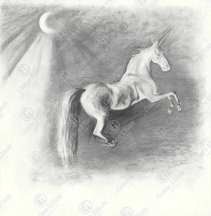 Unicorn (Paper Print)