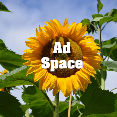 Advertise in the Kansas PTA Convention Booklet