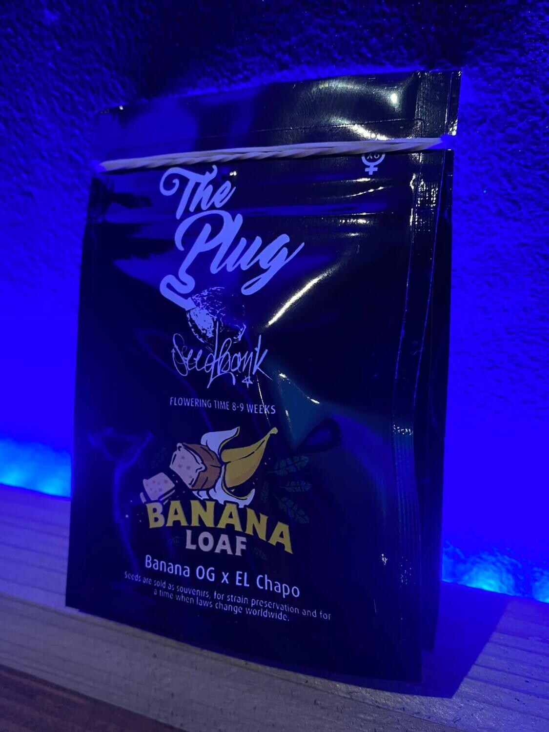 Banana loaf plug seed bank