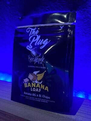Banana loaf plug seed bank