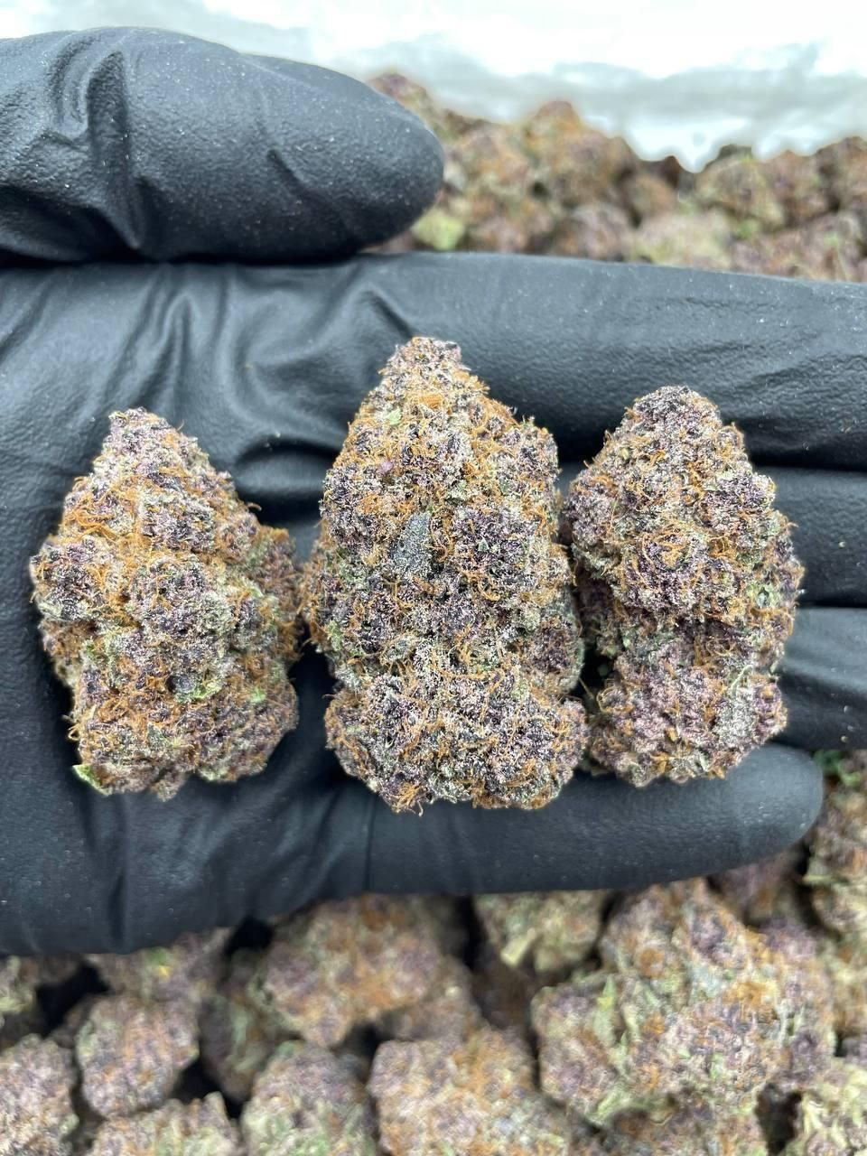 Forbidden fruits cbd flower 3.5g