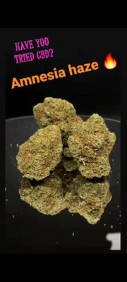 Amnesia haze 