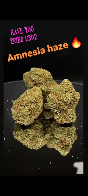 Amnesia haze 