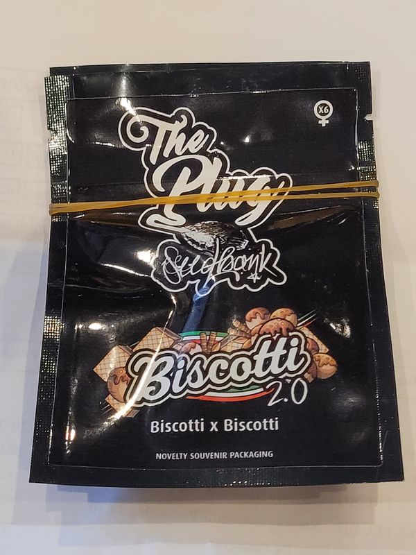 Biscotti