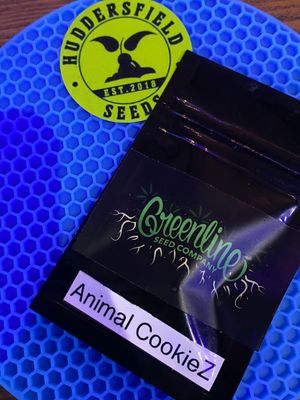 Animal cookies