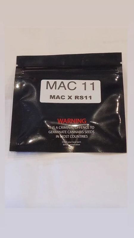 Mac 11