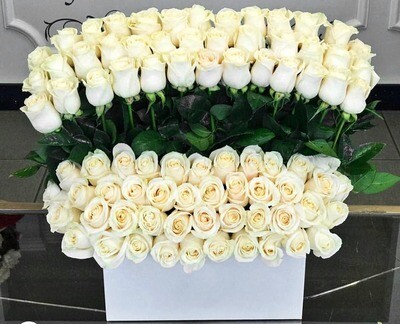 100  Standing white roses
