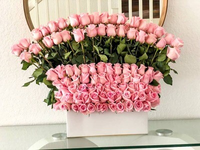 100 Pink roses standing