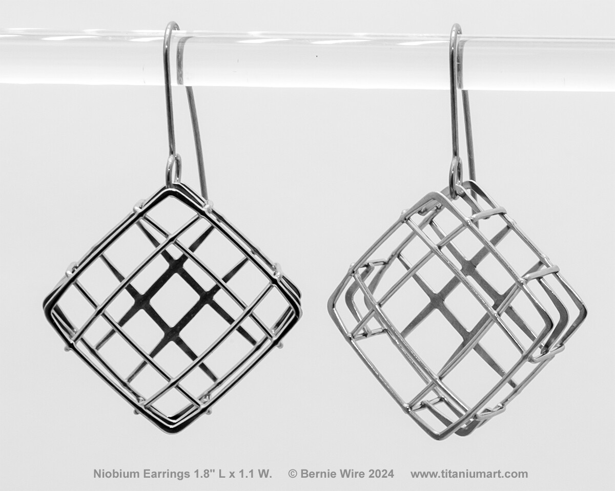 One off Niobium Earrings