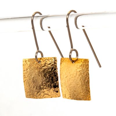10k Gold &amp; Titanium Earrings