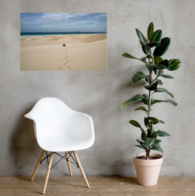 Prints