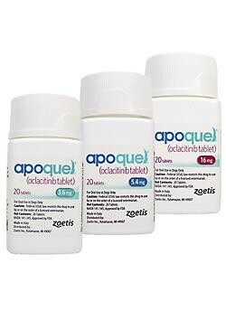 Apoquel (Tablet or Chew)