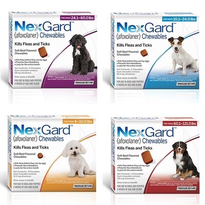 Nexgard Monthly Chewables for Flea and Tick Protection