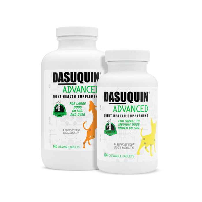 Dasuquin Advanced Chewable Tablets with MSM: 64 Dose